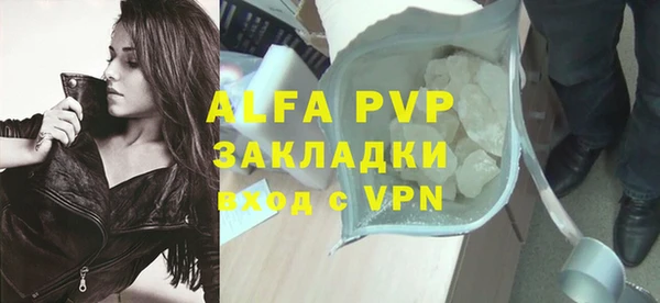 ГАЛЛЮЦИНОГЕННЫЕ ГРИБЫ Горно-Алтайск