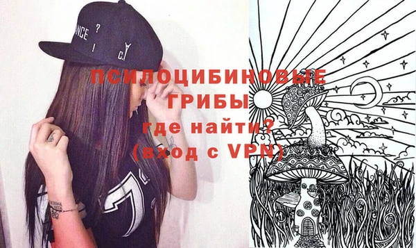 mdpv Горняк