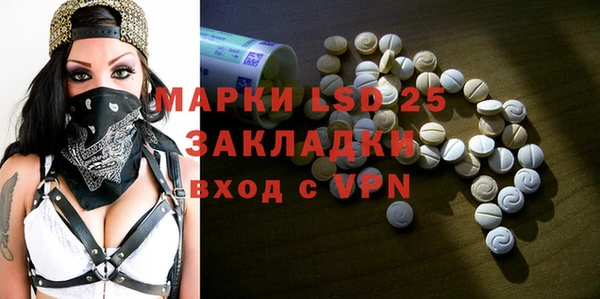 ГАЛЛЮЦИНОГЕННЫЕ ГРИБЫ Горно-Алтайск
