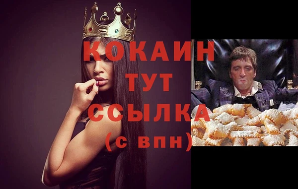 ГАЛЛЮЦИНОГЕННЫЕ ГРИБЫ Горно-Алтайск