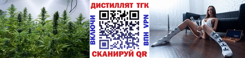 Купить закладки  Короча  Дистиллят ТГК Wax 