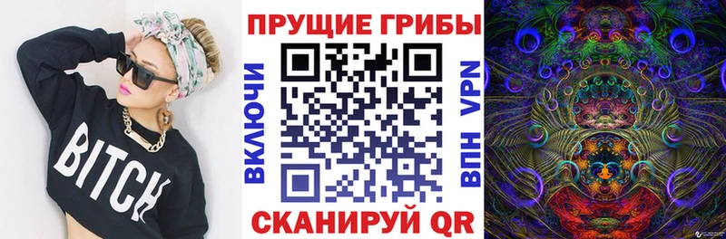 Купить где  Короча  Галлюциногенные грибы Cubensis 